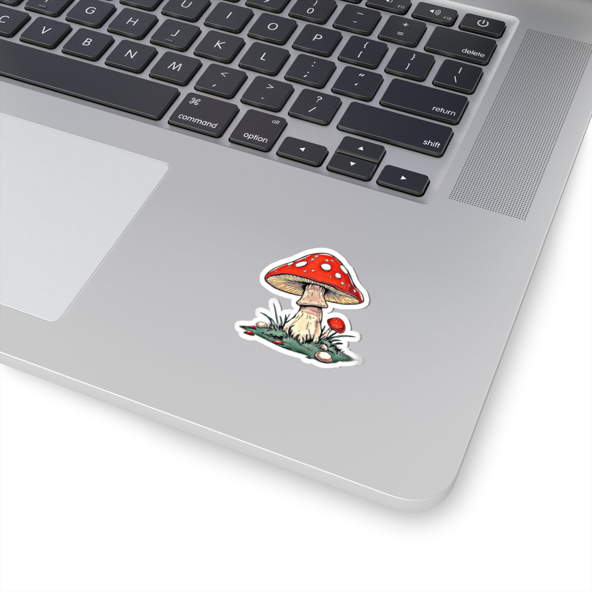Shroom View Solo - No Background Edition Sticker | Amity in Bloom Original