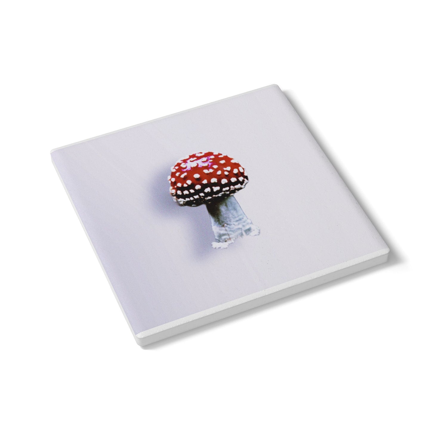 Fly Agaric (Amanita muscaria) Mushroom Ceramic Coaster | Amity in Bloom Original