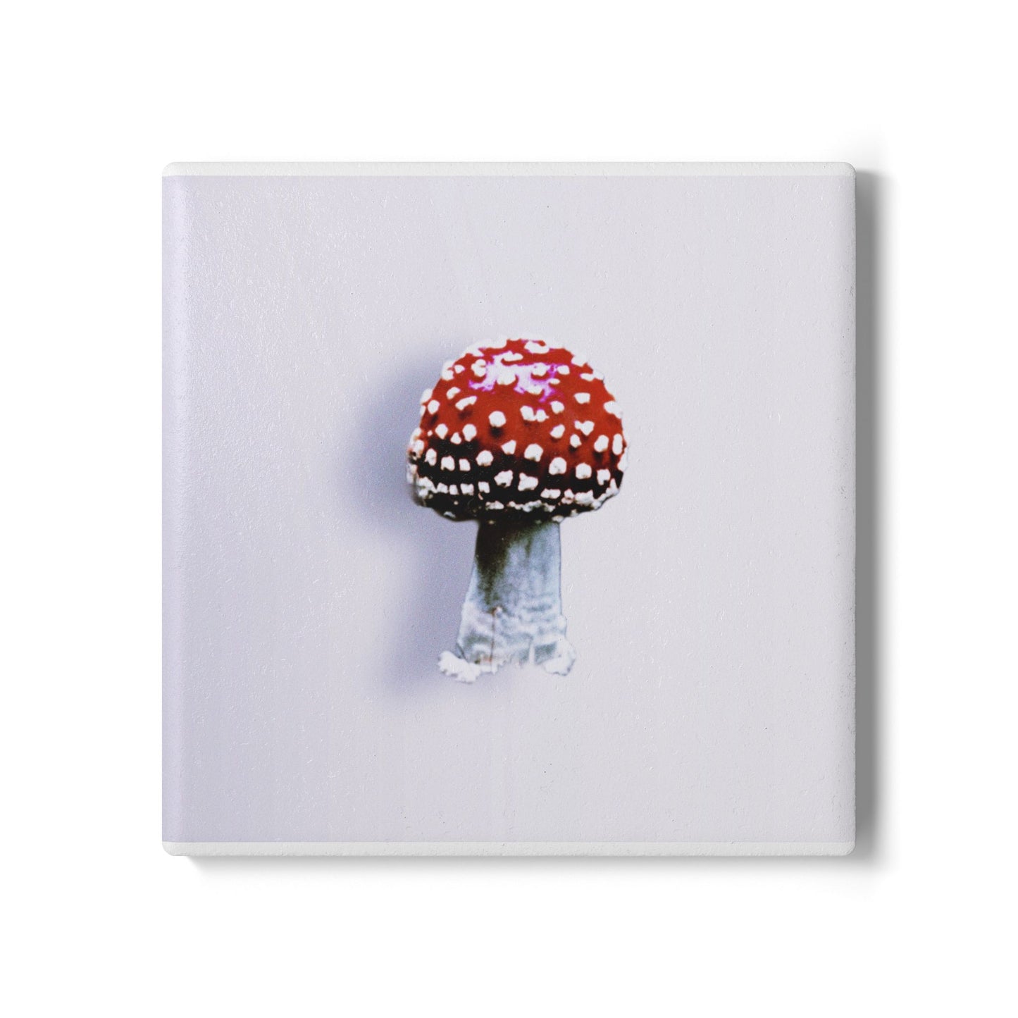 Fly Agaric (Amanita muscaria) Mushroom Ceramic Coaster | Amity in Bloom Original