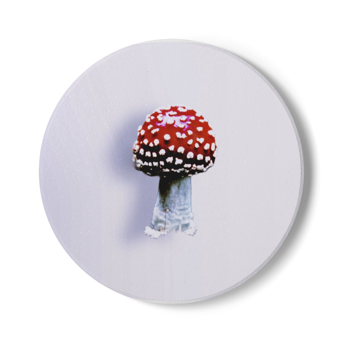 Fly Agaric (Amanita muscaria) Mushroom Ceramic Coaster | Amity in Bloom Original