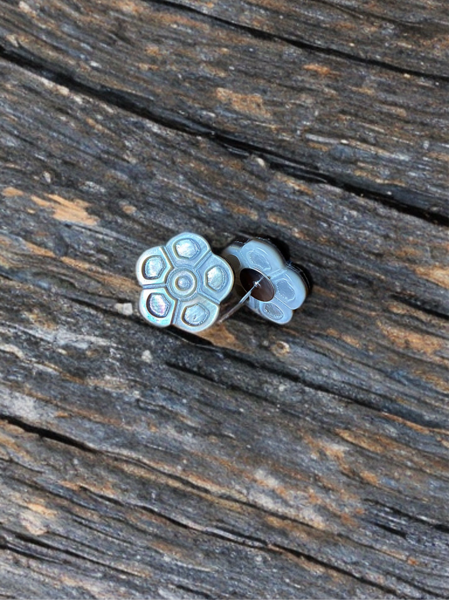 Tiny Tides Daisy Shell Studs | Amity in Bloom Original