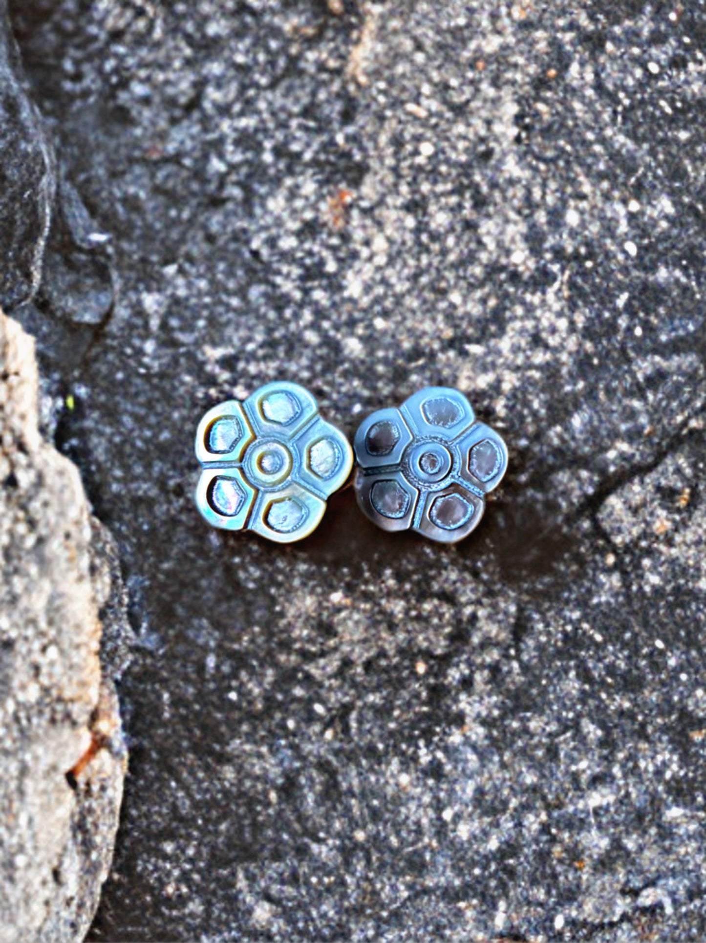 Tiny Tides Daisy Shell Studs | Amity in Bloom Original