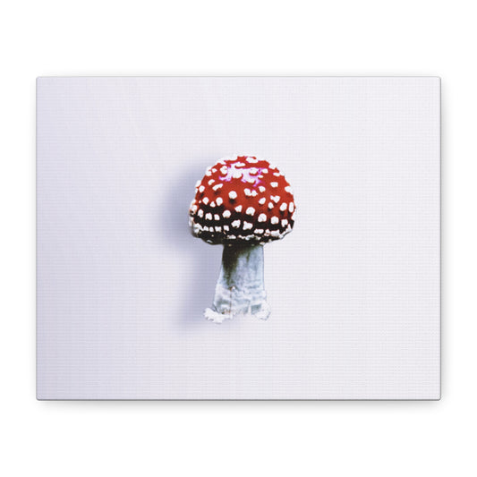 Fly Agaric (Amanita muscaria) Canvas | Amity in Bloom Original