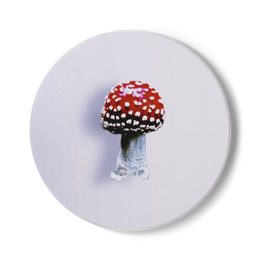 Fly Agaric (Amanita muscaria) Mushroom Ceramic Coaster | Amity in Bloom Original