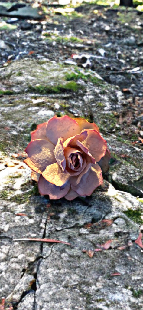 Dust Petal Rose Pin | Amity in Bloom Upcycled Design