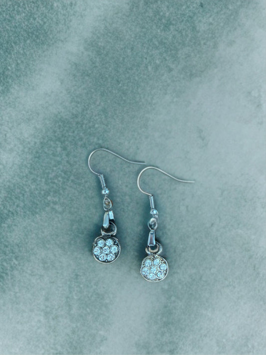Daisy Dazzles | Amity in Bloom Original